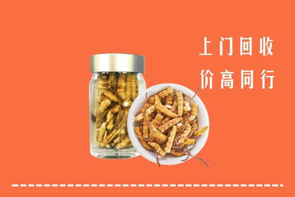 咸阳市渭城回收冬虫夏草
